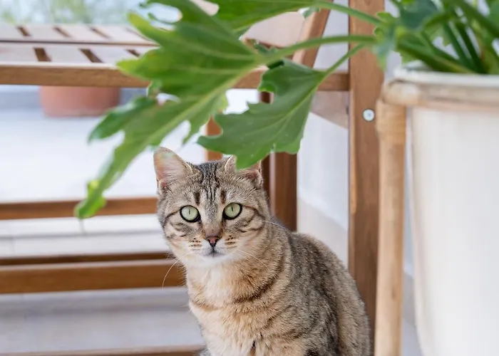 Holiday home Gerani Kos Town